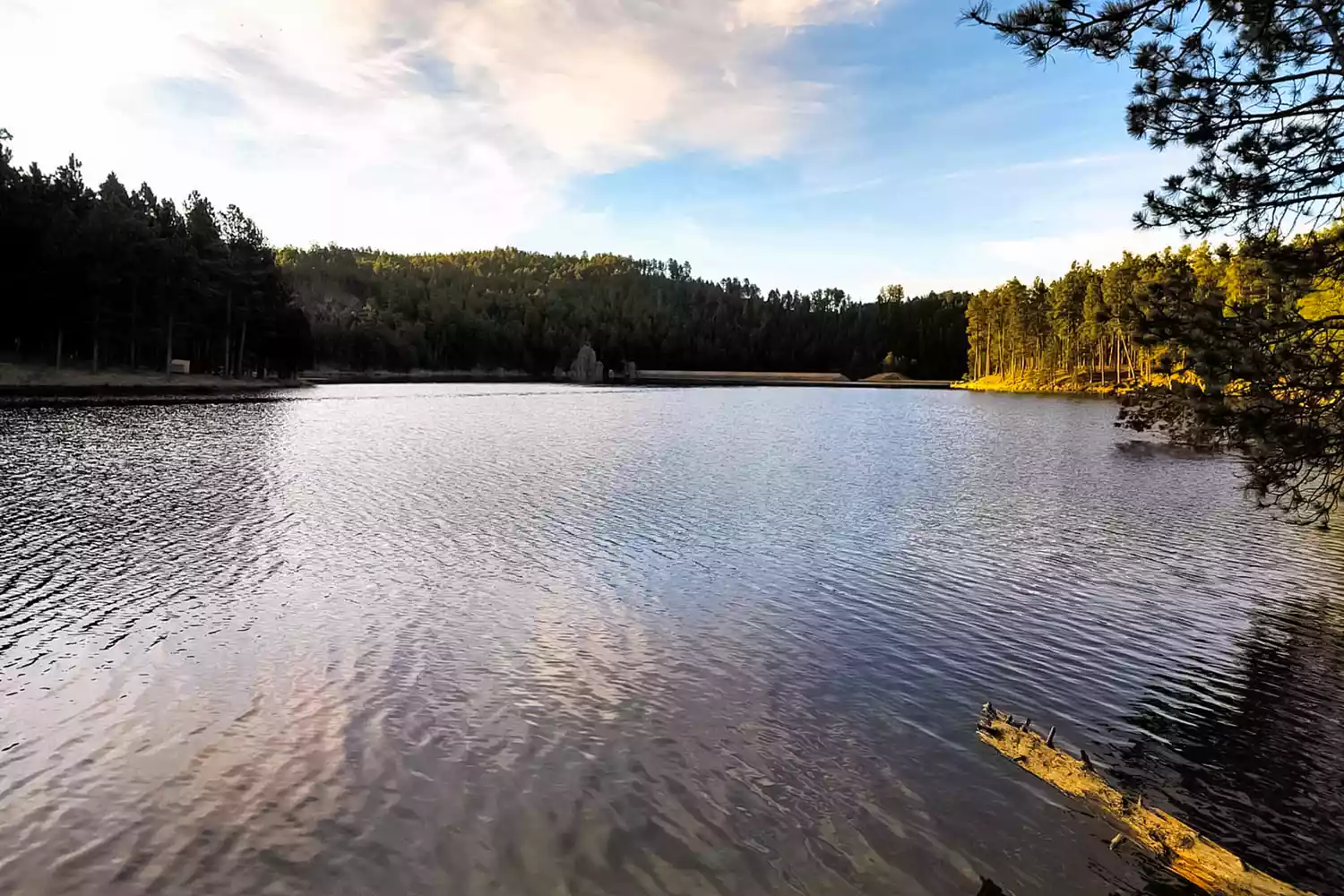 The calm waters of Center Lake at Custer State Park, South Dakota, surrounded by evergreen trees.