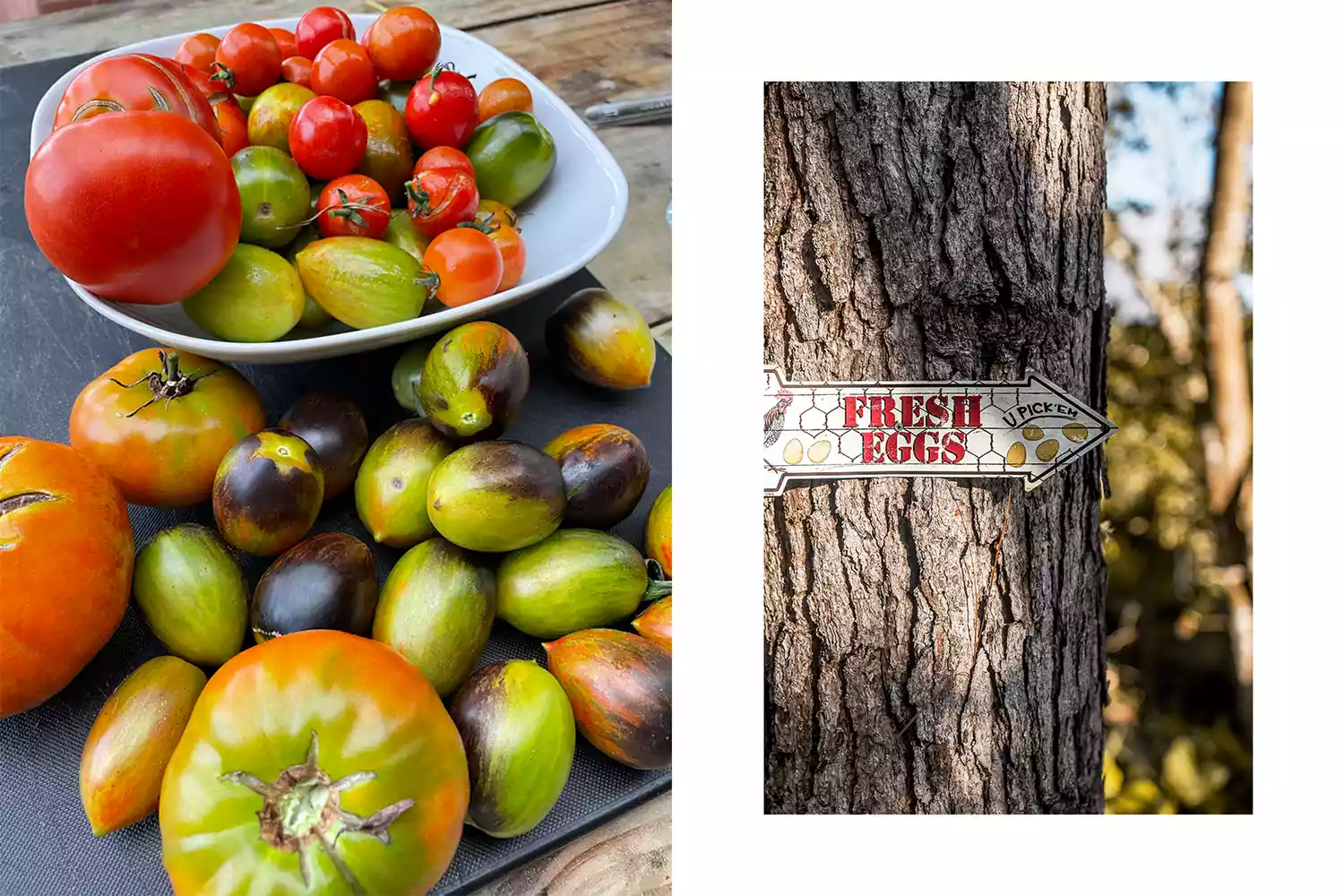 A close-up of fresh garden tomatoes and a wooden sign indicating fresh eggs are available.