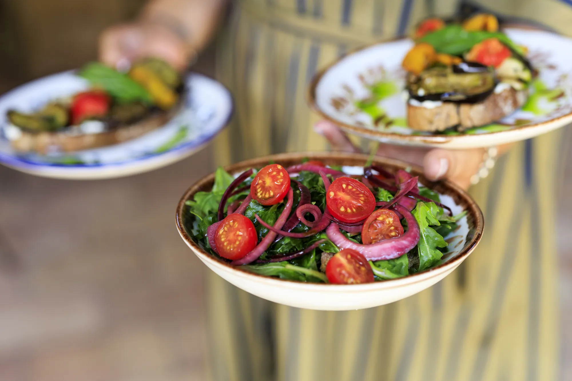 A person holding two plates of fresh, colorful salads made with garden-grown vegetables.