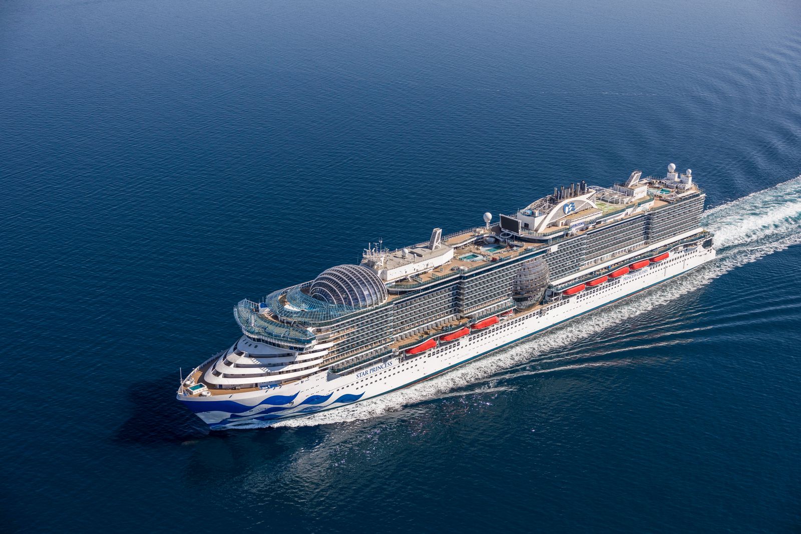 A large cruise ship sailing on open water during a clear day.
