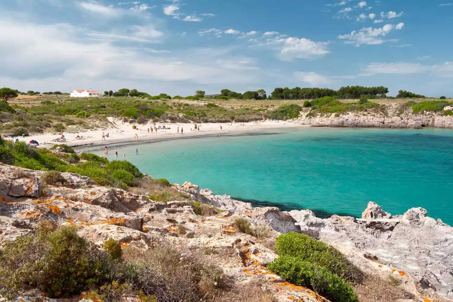 The rocky shore and clear Mediterranean waters of La Bobba beach in Carloforte, Sardinia.