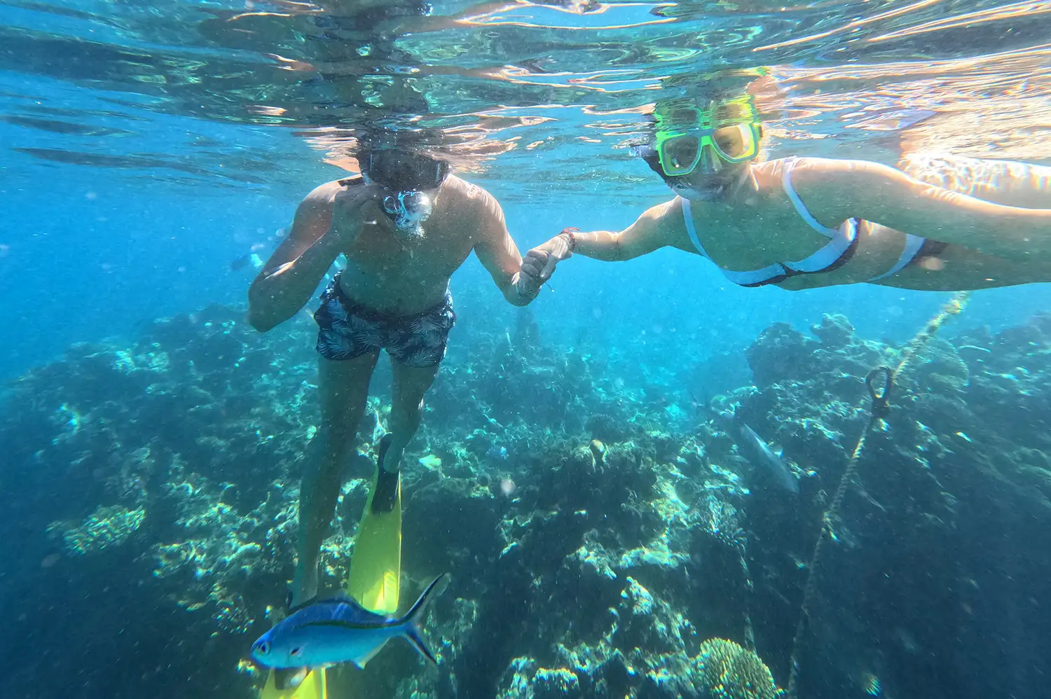 Two people snorkeling near a coral reef in clear Pacific waters.