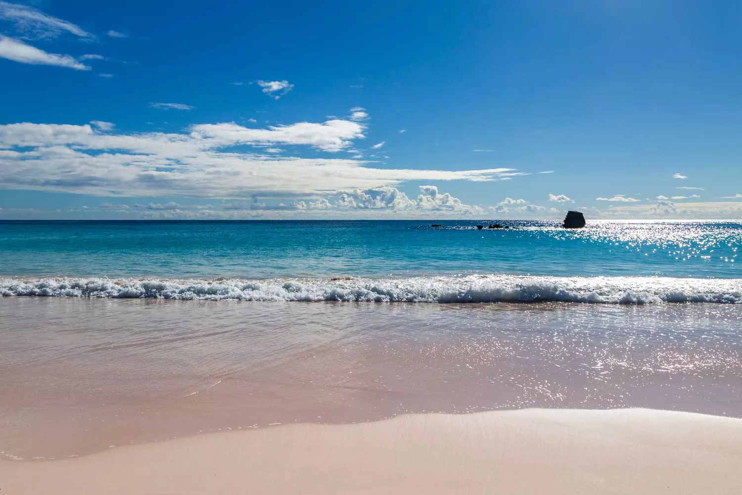 White waves rolling into the wide pink sand beach at Horseshoe Bay in Bermuda.