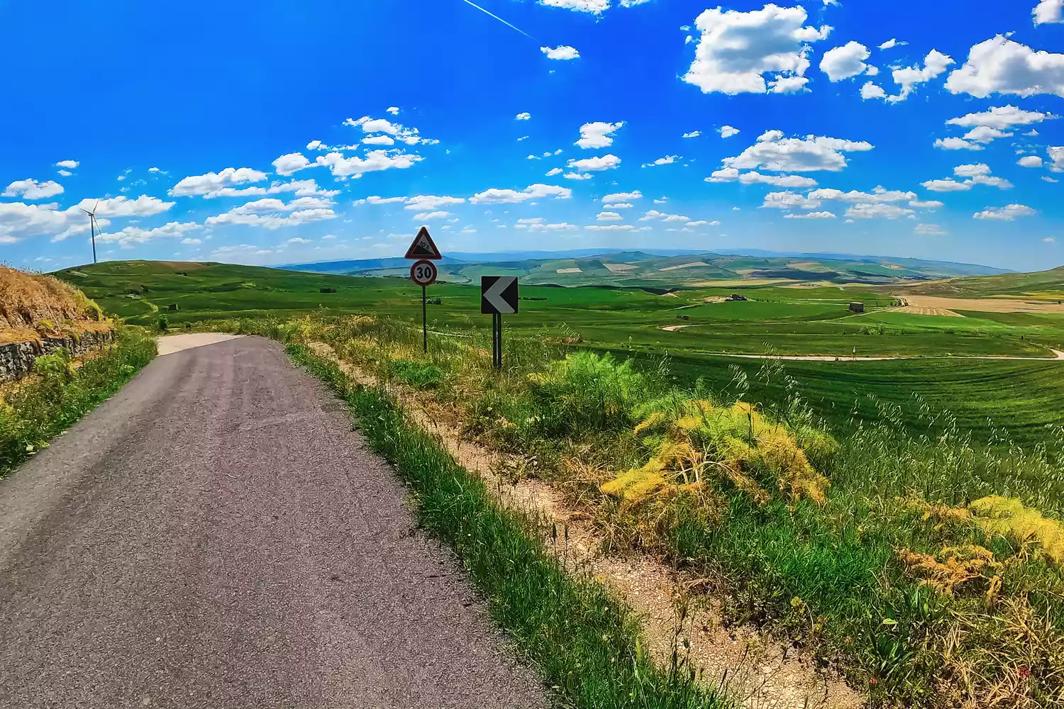 A narrow paved road winding through the dry-stone walls and sun-drenched countryside of rural Puglia.