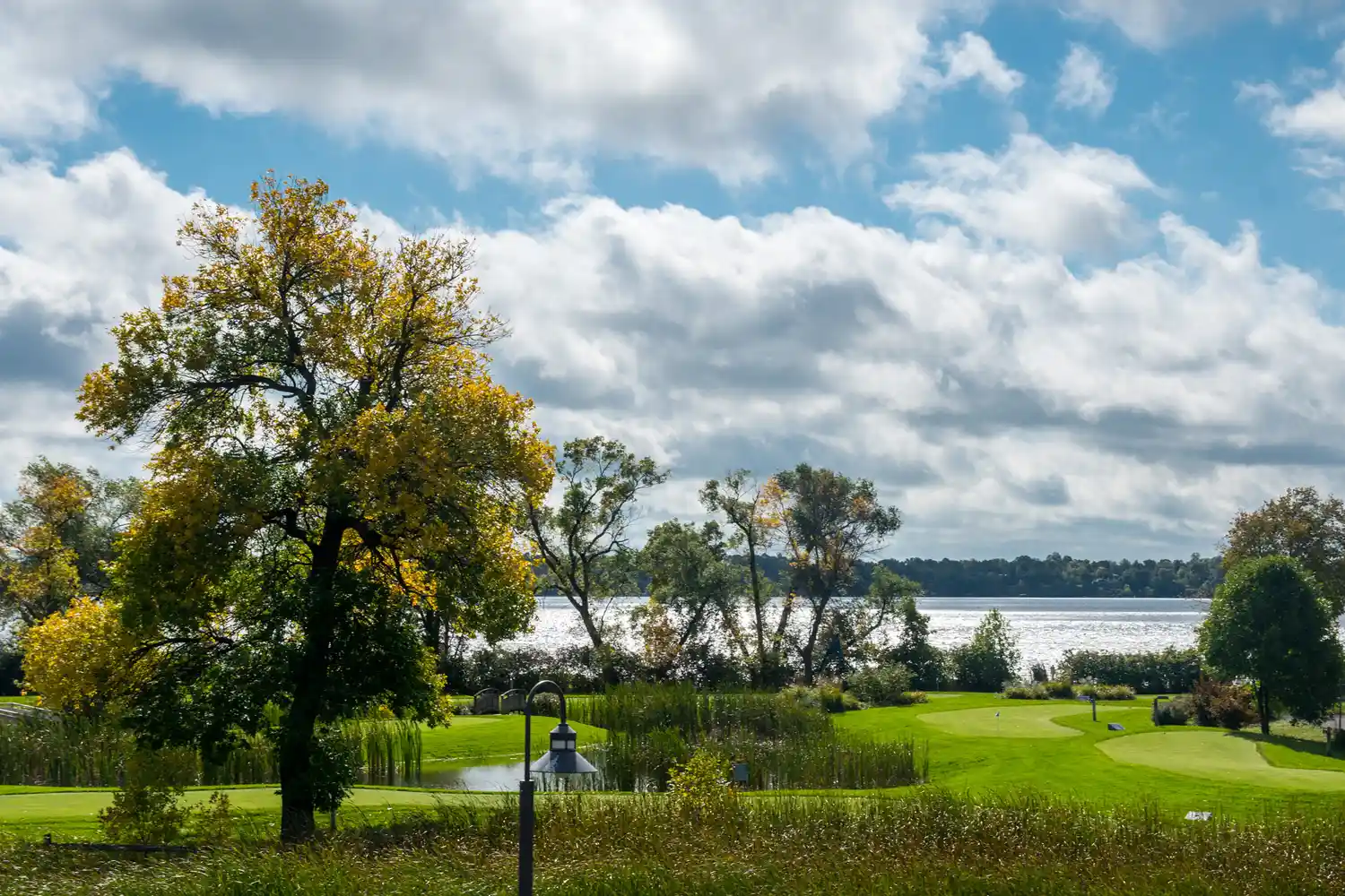 A green park with trees overlooking a lake under a clear sky.