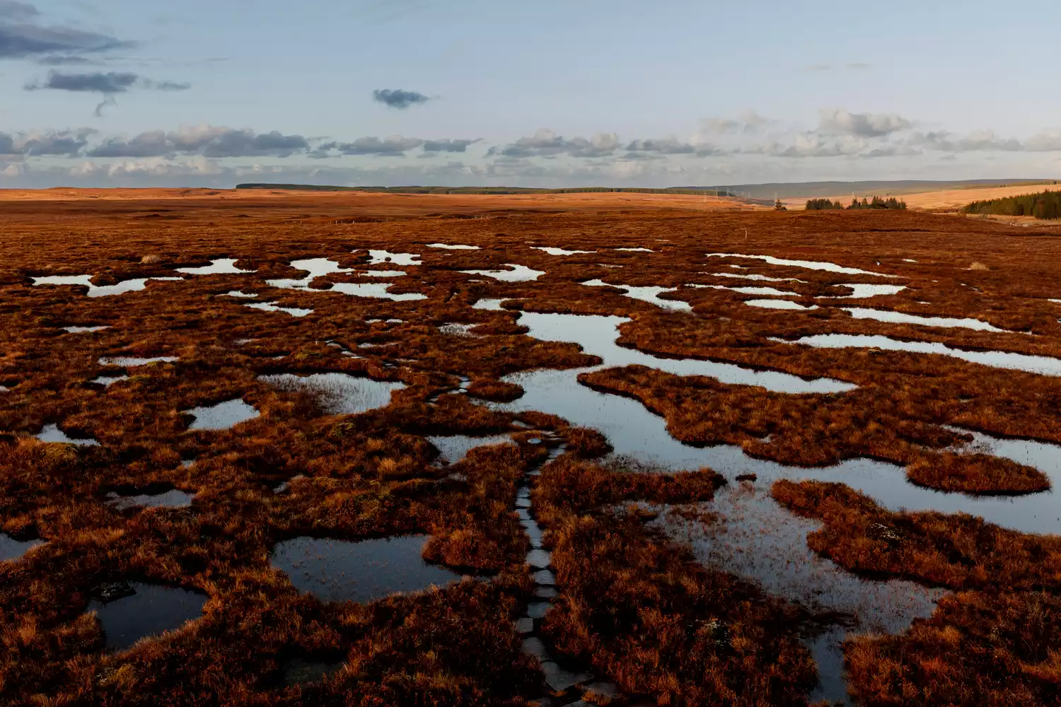 Expansive view of the Flow Country peat bogs in Scotland.