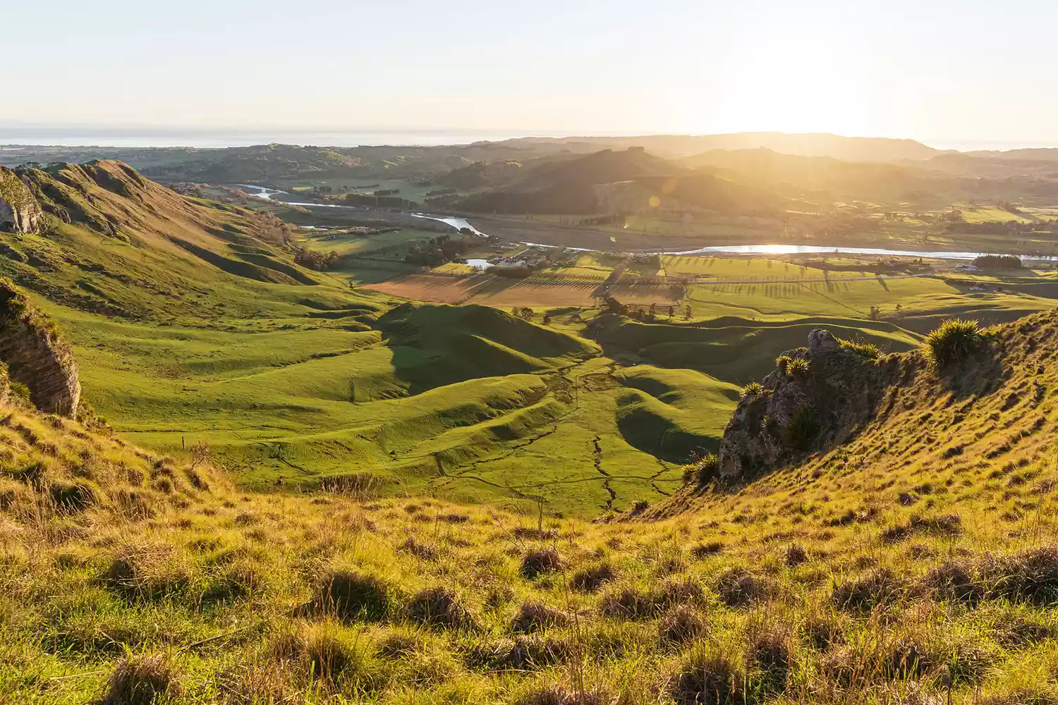 Panoramic view from Te Mata Peak overlooking a river valley and the coast at dawn.