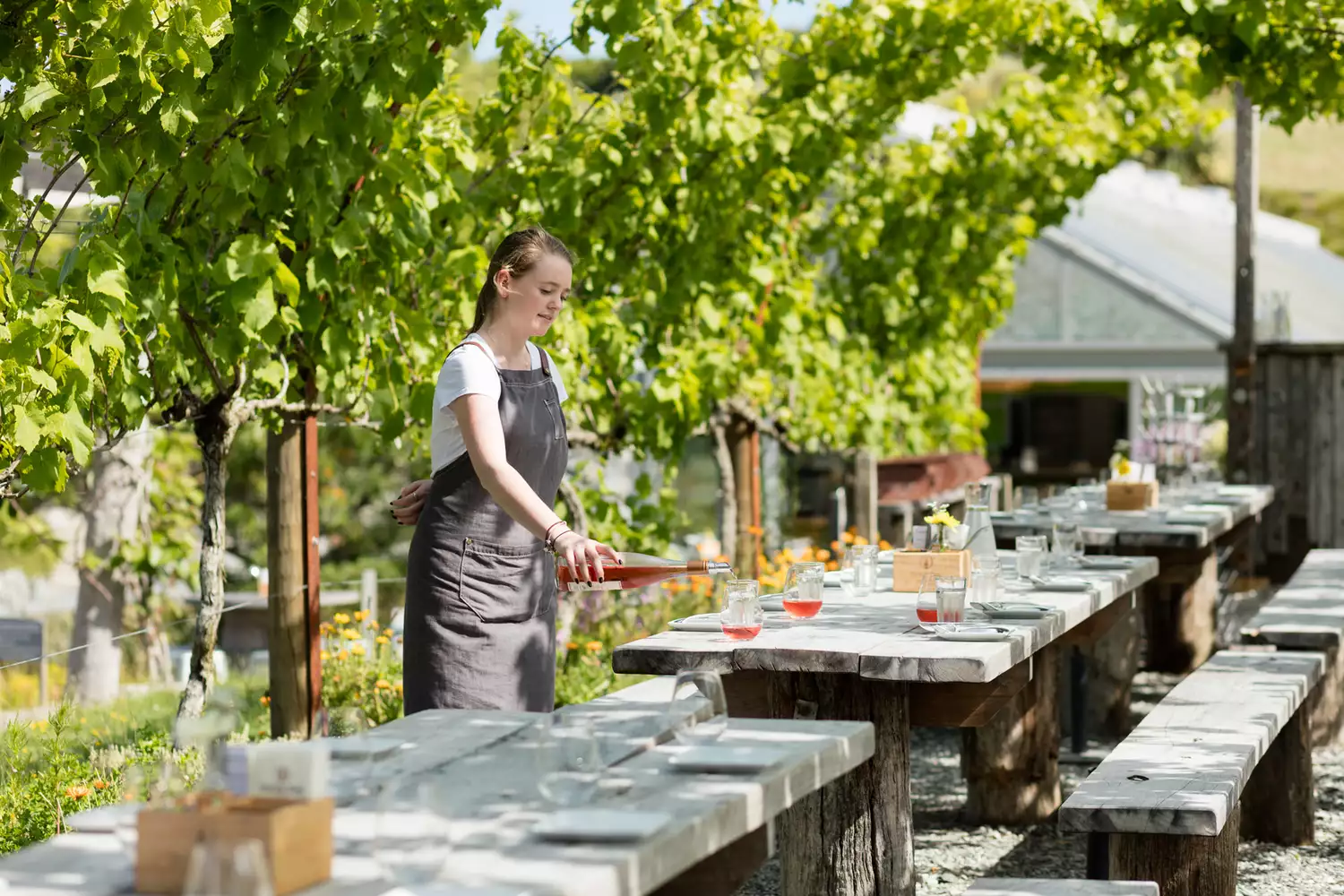 A waitress serving wine at a scenic vineyard restaurant