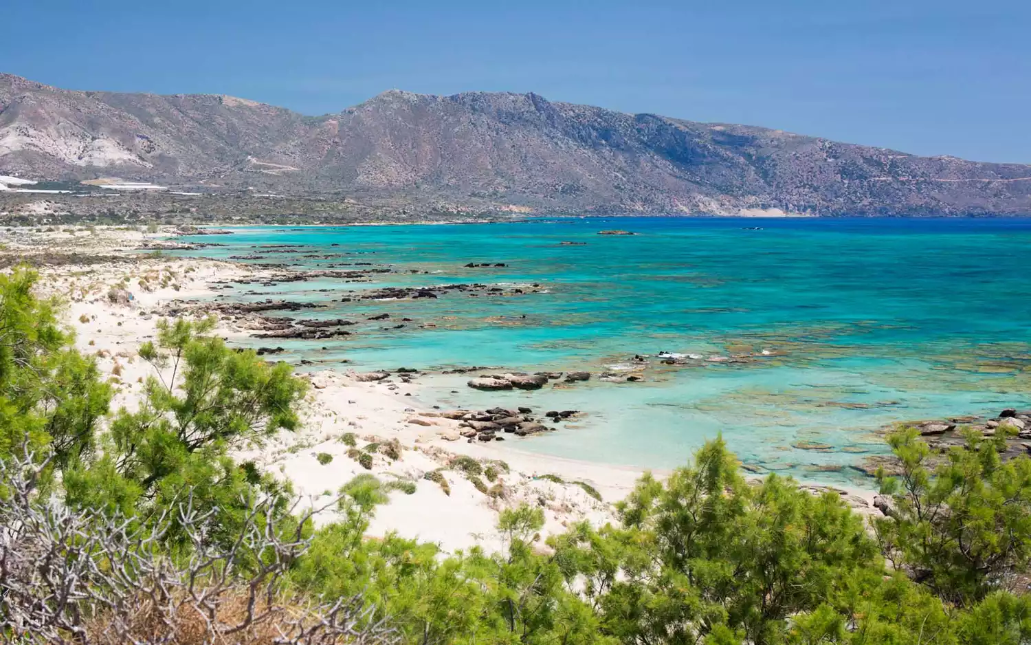 The pink-tinged shoreline of Elafonisi Beach in Crete, Greece.