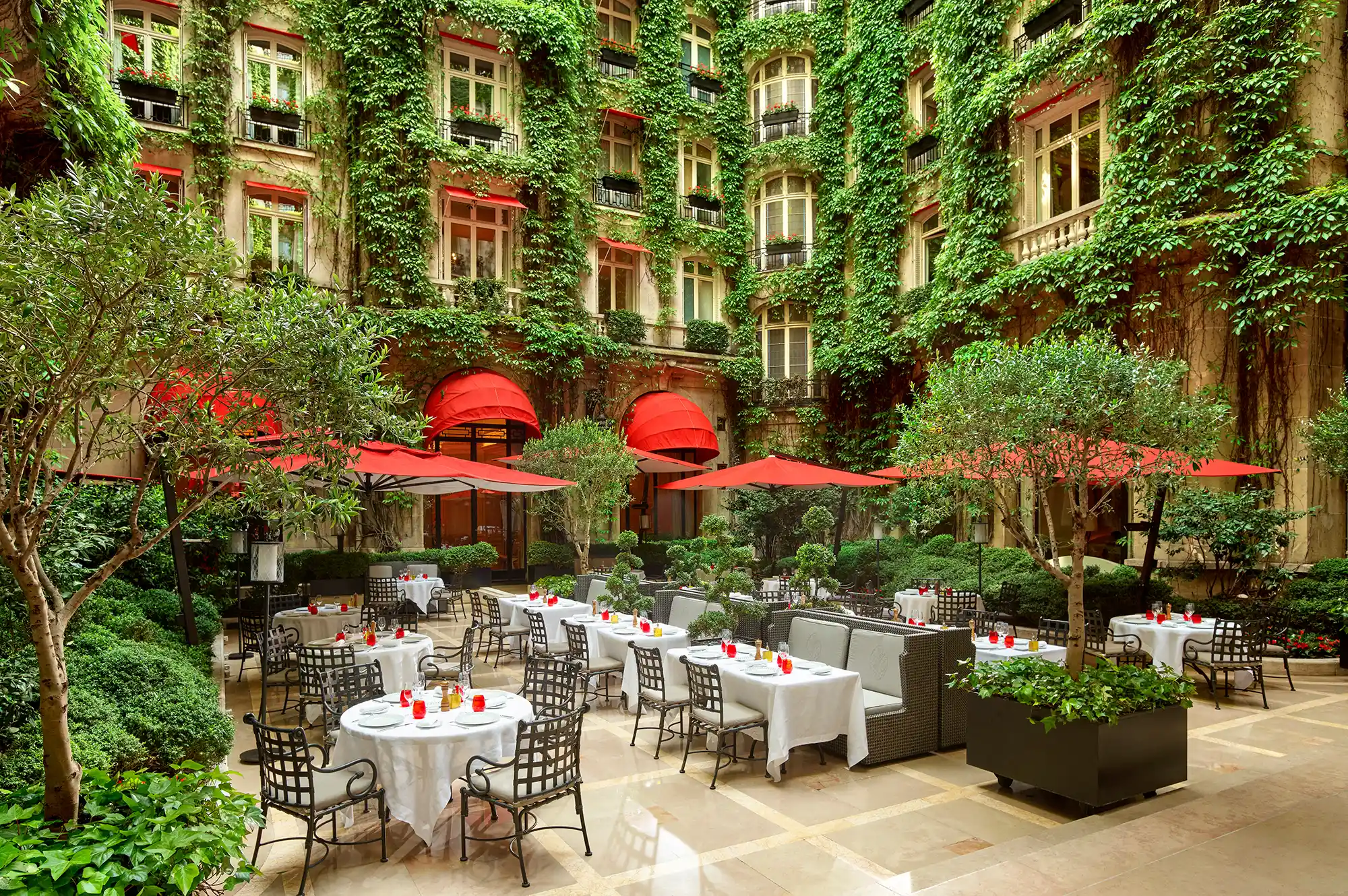 The lush inner courtyard of Hotel Plaza Athenee with green vines and signature red sun umbrellas.