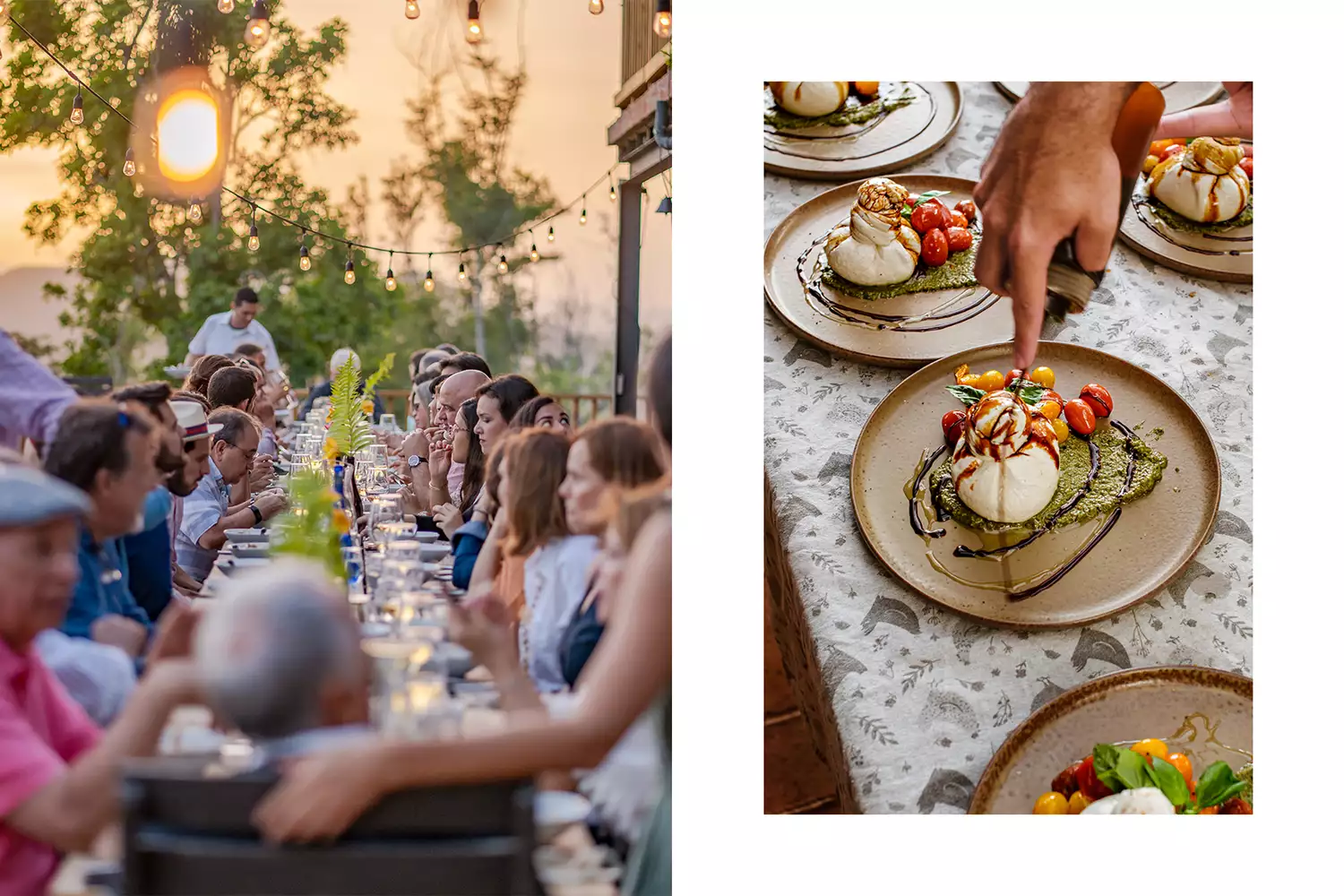 Diners sitting at a long table for a garden dinner next to a plated burrata and tomato dish.