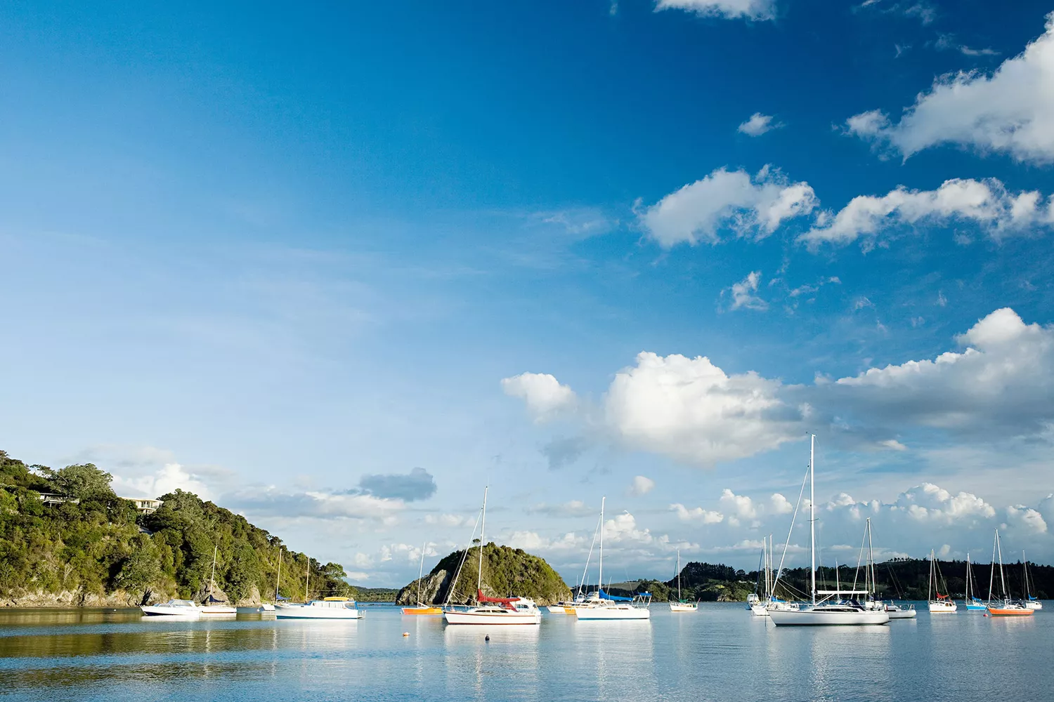 Several yachts anchored in the clear blue bays of the North Island coast.