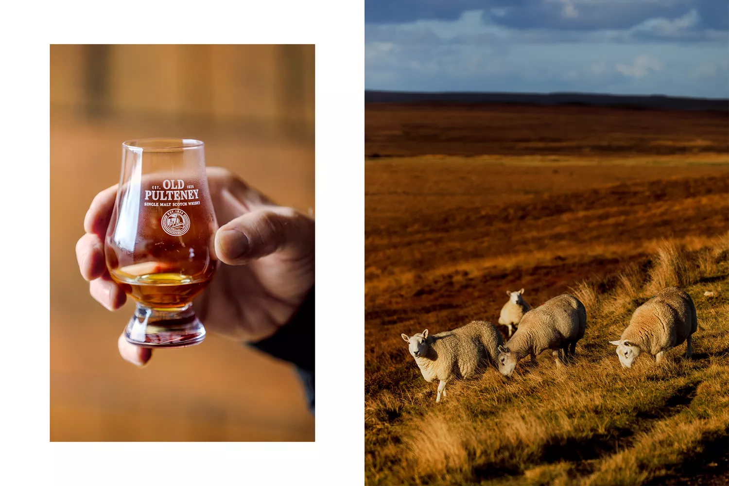 A glass of amber-colored Old Pulteney whisky held against a Scottish coastal backdrop.