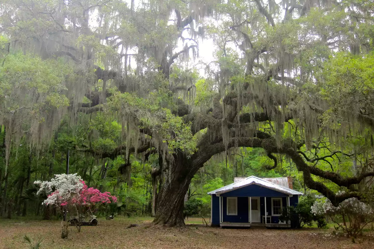 Historic site on Daufuskie Island showcasing Gullah Geechee culture.