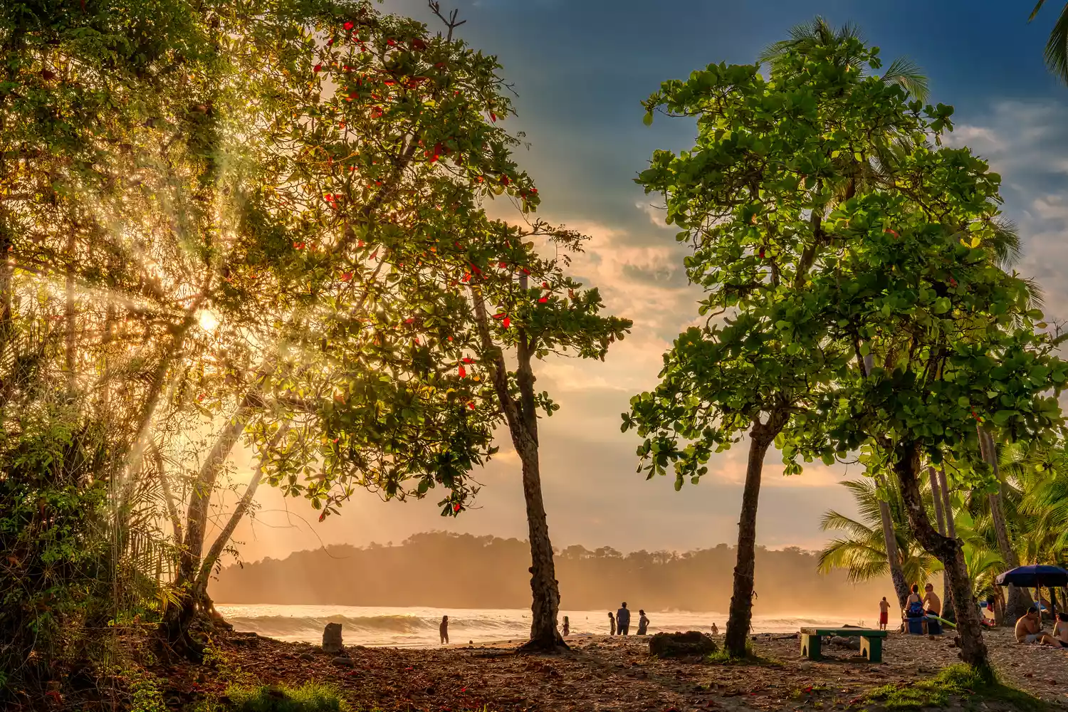 A serene tropical beach at Corcovado National Park in Costa Rica.