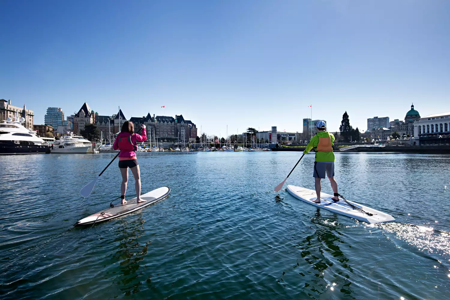 People paddleboarding in the calm waters of Victoria's Inner Harbour with historic architecture in the background.
