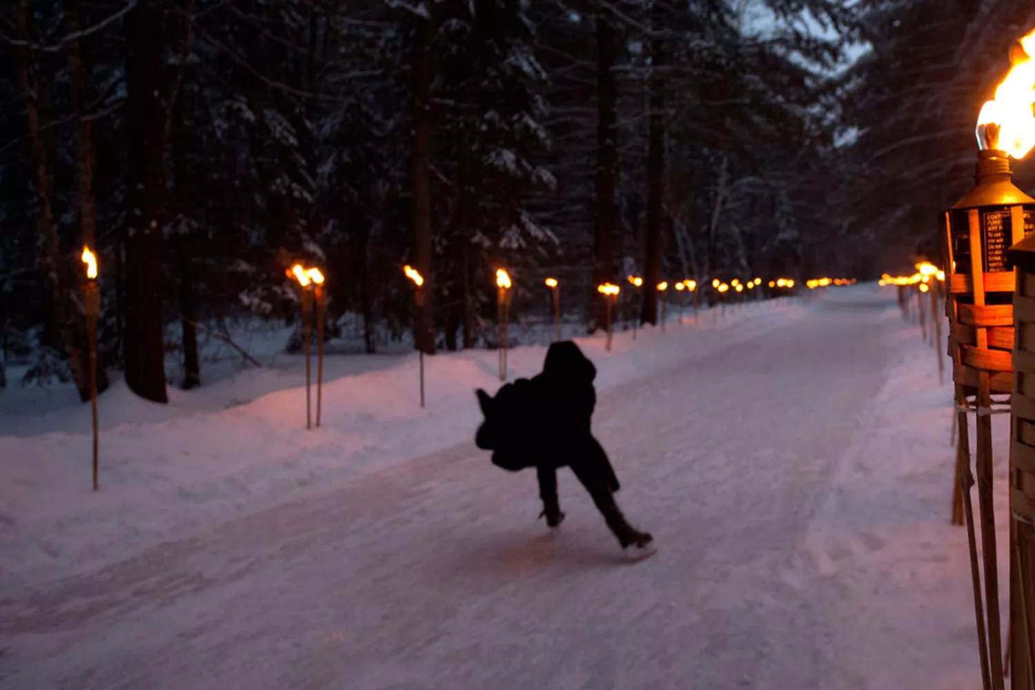 People skating along a winding ice trail through a snow-covered evergreen forest.