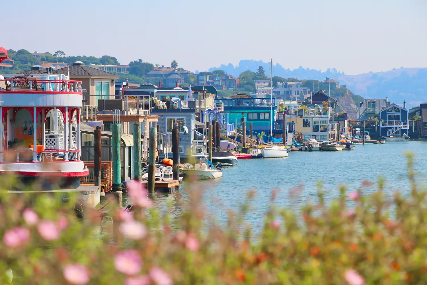 A view of houseboats along the Sausalito waterfront with vibrant spring flowers in the foreground.