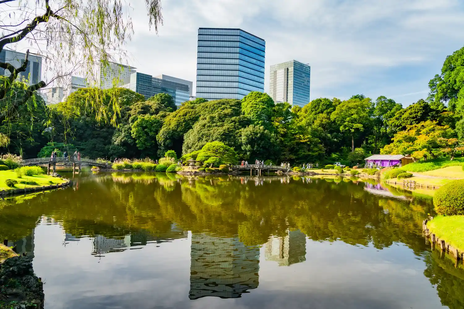A serene pond at Shinjuku Gyoen reflecting nearby modern skyscrapers and lush greenery.