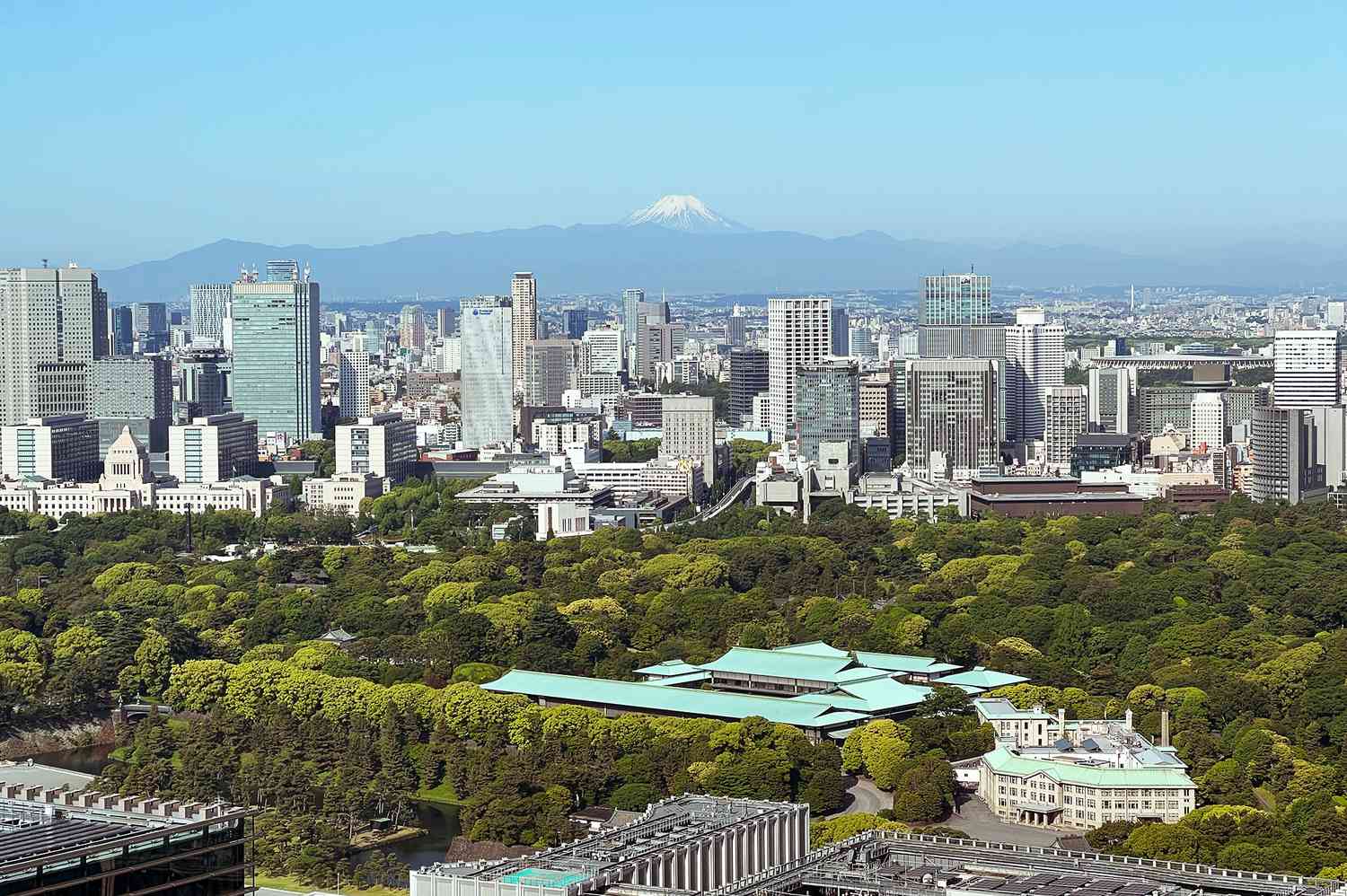 Close-up view of lush greenery in a Tokyo metropolitan park with city buildings in the distance.