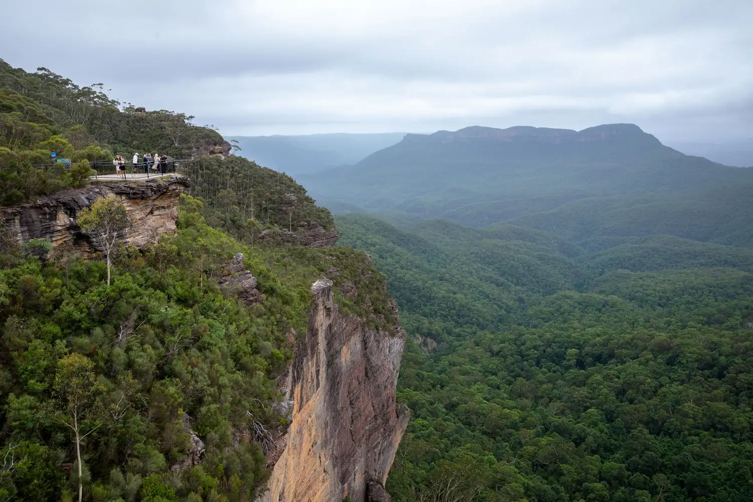 A high-angle view overlooking the verdant cliffs and valleys of the Blue Mountains.