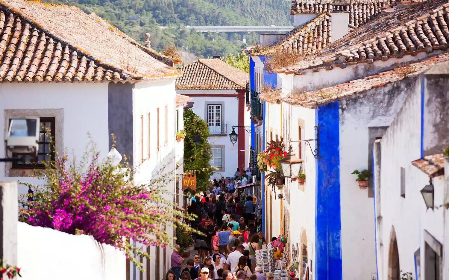 A narrow cobblestone street in the medieval walled town of Óbidos, Portugal.