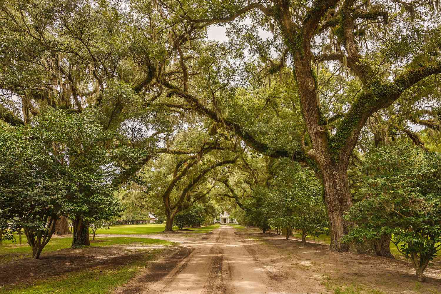 8 Best South Carolina Small Towns: Mountains to Coast